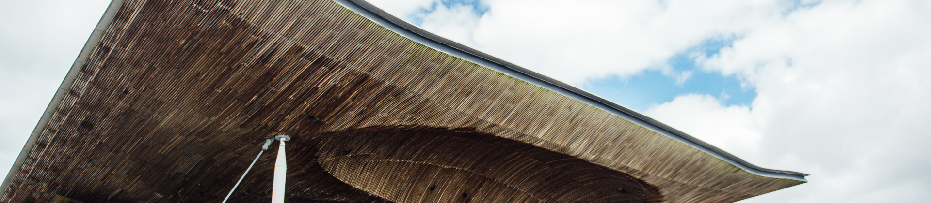 The Senedd in Cardiff