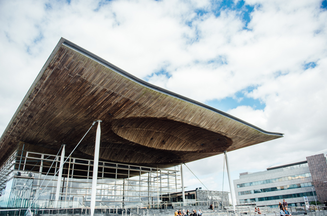 Senedd