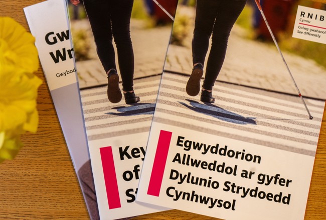 RNIB's Welsh Language Plan